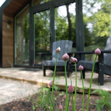 Hotel Boetiekpark 'T Zwaantje Mook Zewnętrze zdjęcie